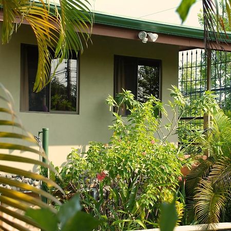 Villas Oasis 曼努埃尔安东尼奥 外观 照片