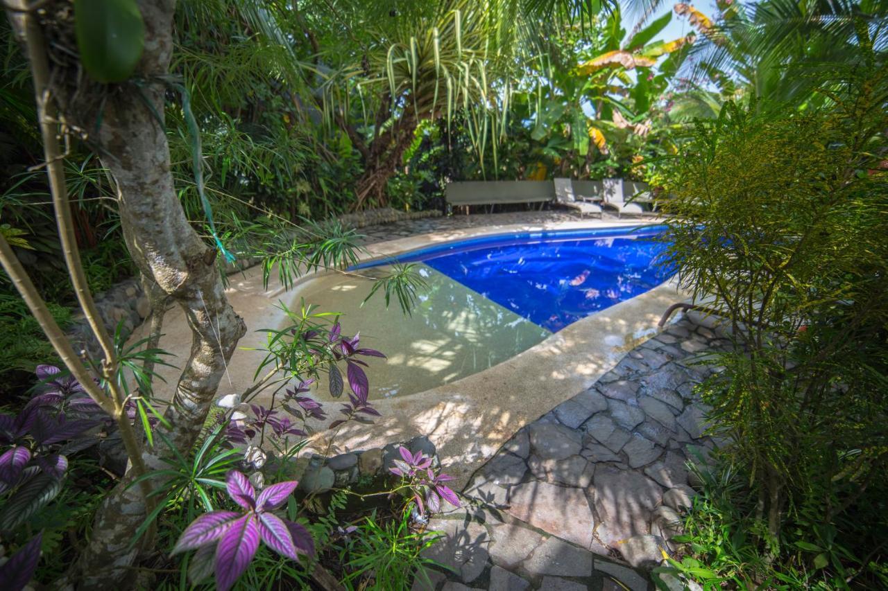 Villas Oasis 曼努埃尔安东尼奥 外观 照片